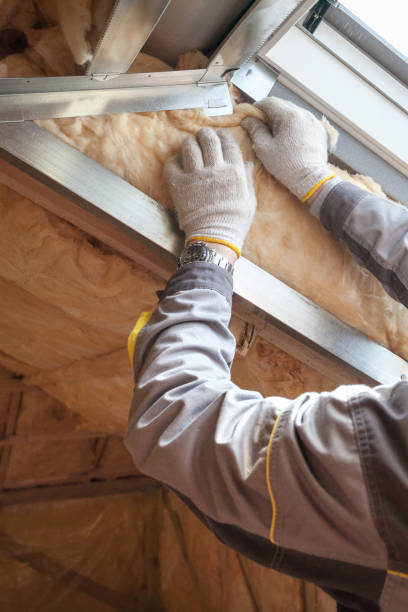 Best Commercial Insulation Services  in Clermont, GA